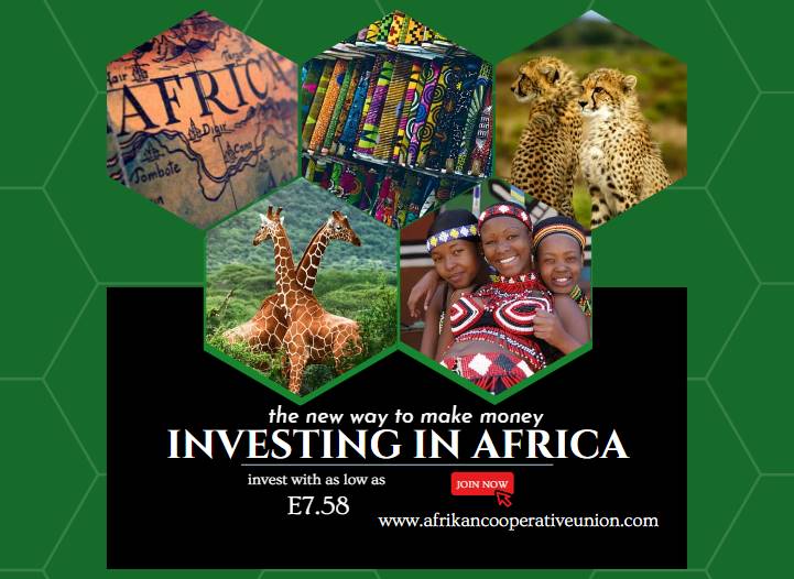 INVESTING IN AFRICA: THE NEW WAY TO MAKE MONEY